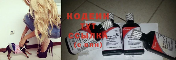 индика Беломорск