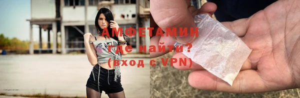 хмурый Белокуриха