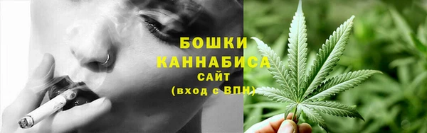 индика Беломорск