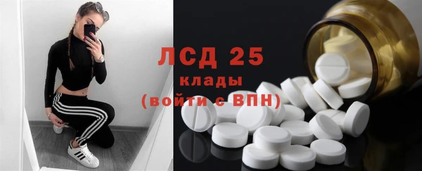 хмурый Белокуриха
