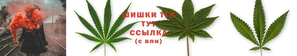 индика Беломорск