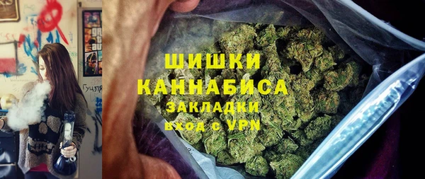 индика Беломорск