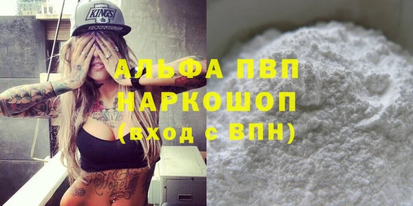 хмурый Белокуриха
