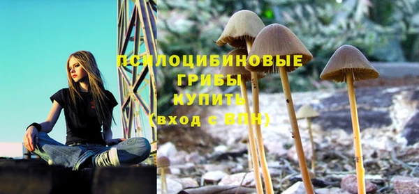 индика Беломорск