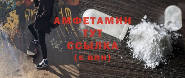 индика Беломорск