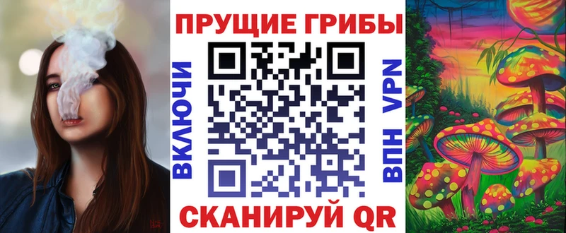 Псилоцибиновые грибы Psilocybe Лакинск